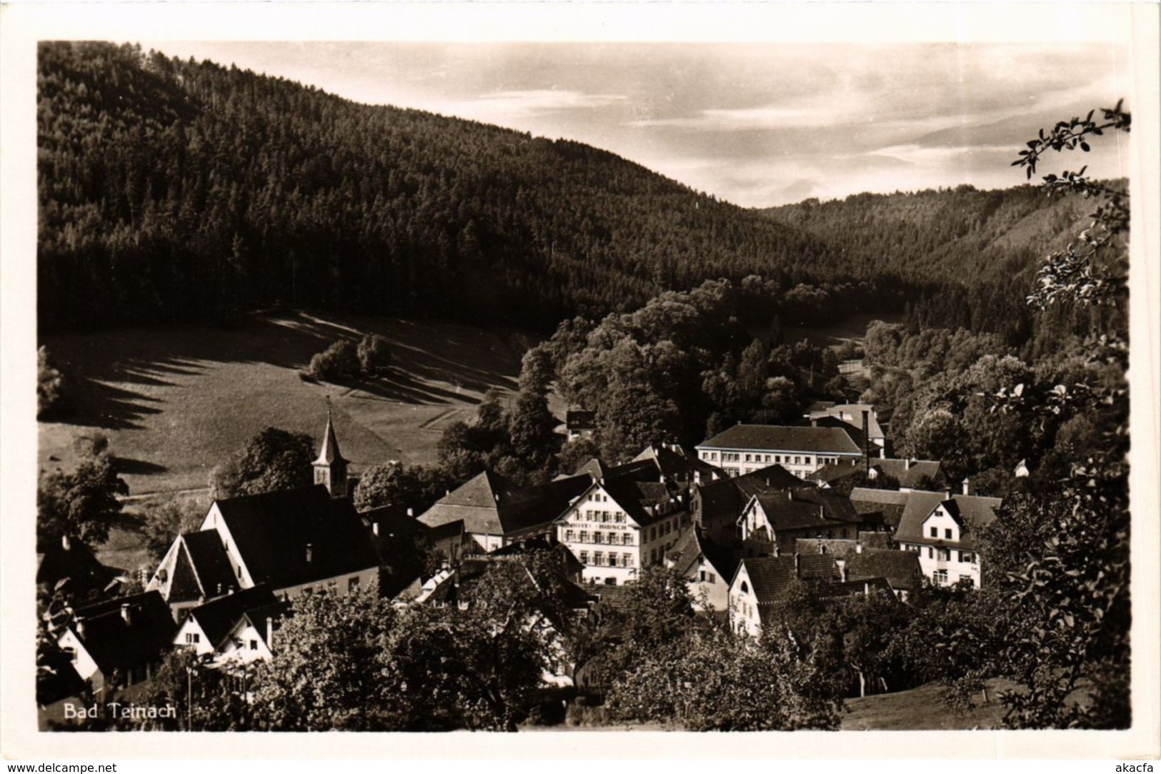 CPA AK Bad Teinach- GERMANY (908094) - Kaiserstuhl