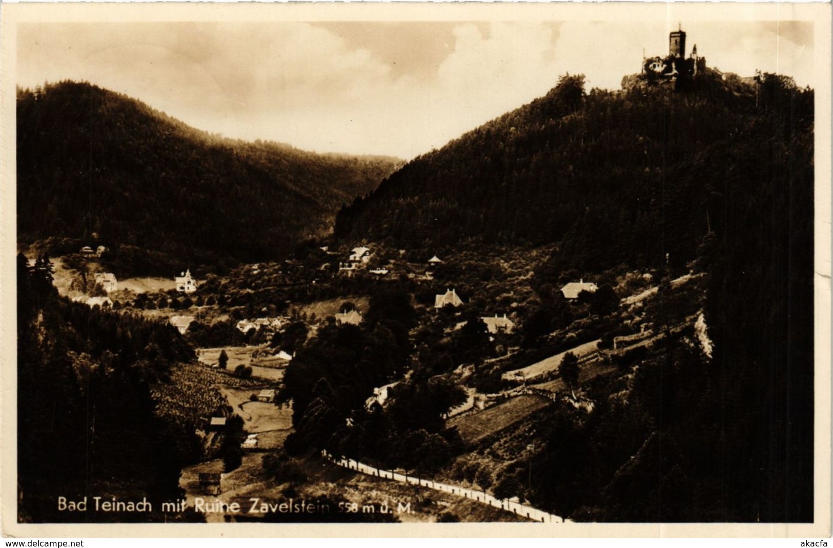 CPA AK Bad Teinach- Ruine Zavelstein GERMANY (908153) - Kaiserstuhl