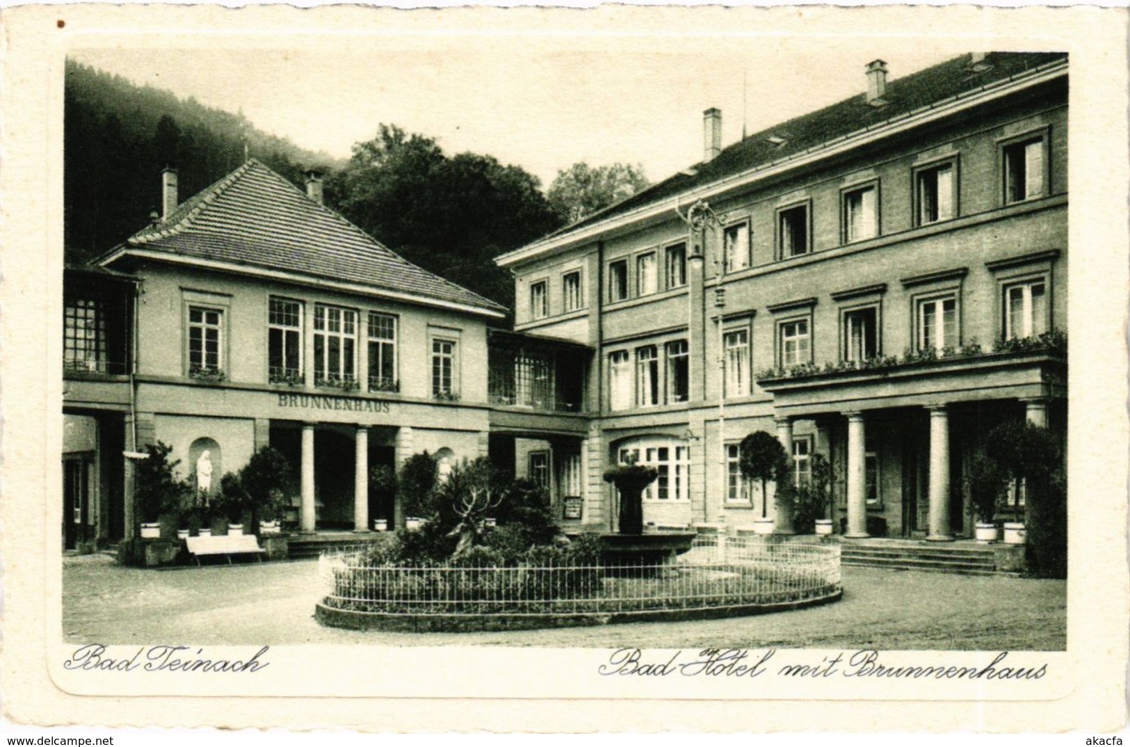 CPA AK Bad Teinach- Bad Hotel Und Brunnenhaus GERMANY (908154) - Kaiserstuhl