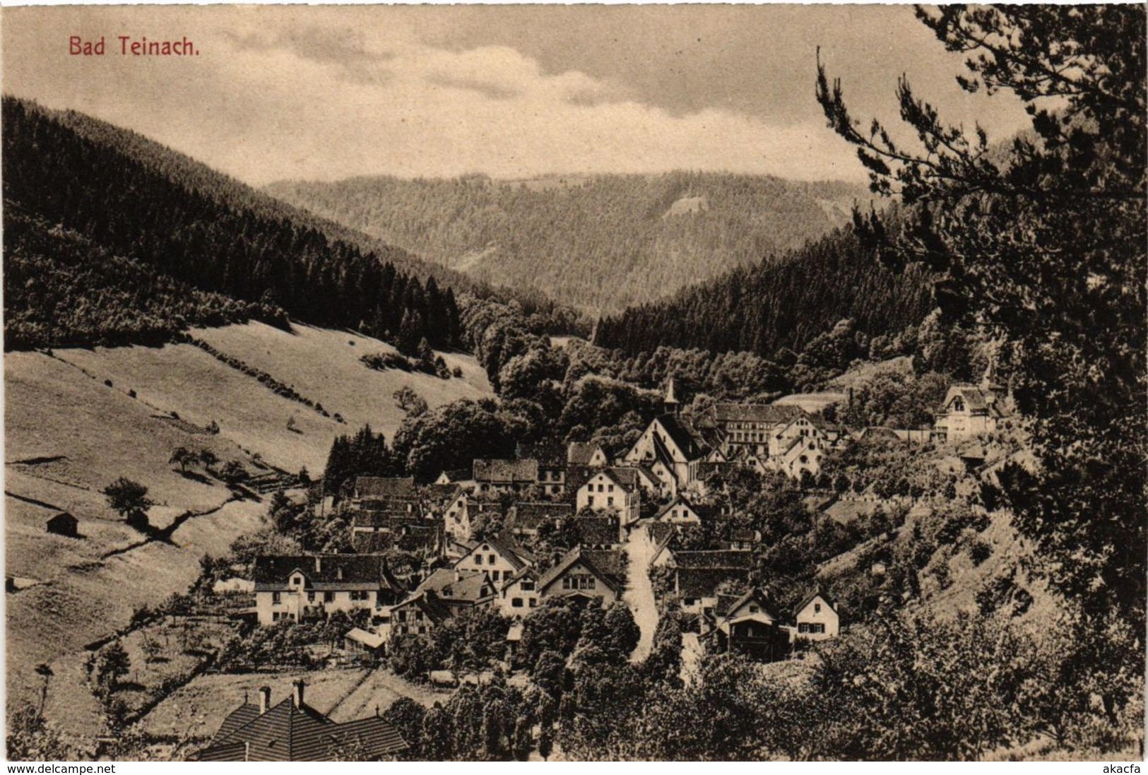 CPA AK Bad Teinach- GERMANY (908183) - Kaiserstuhl