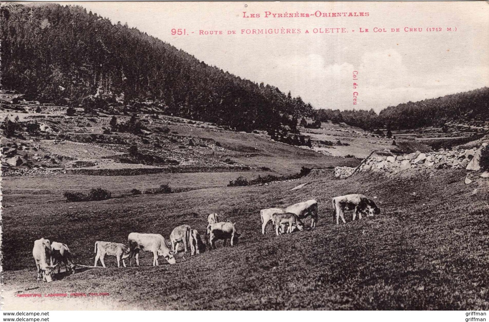 ROUTE DE FORMIGUERES A OLETTE LA COL DE CREU TBE - Autres & Non Classés