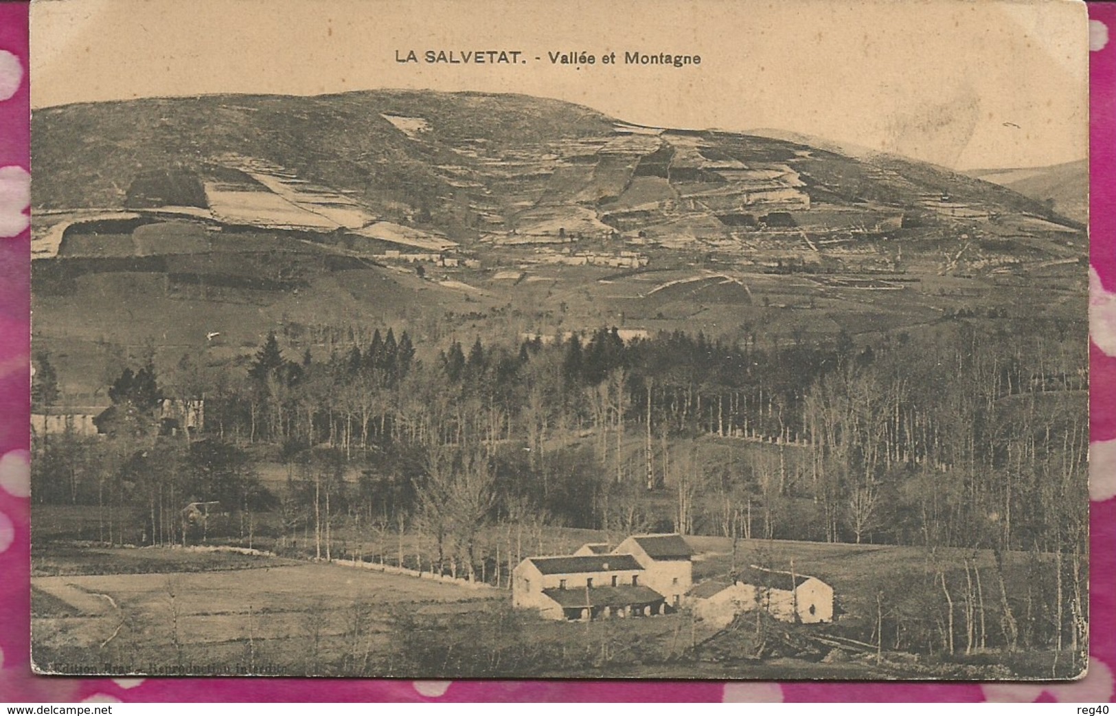 D34 - LA SALVETAT  - Vallée Et Montagne - La Salvetat