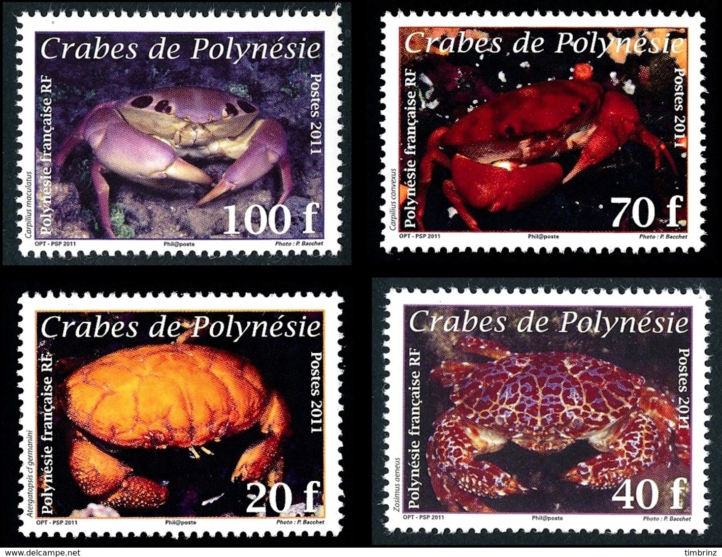 POLYNESIE 2011 - Yv. 935 936 937 Et 938 **   Faciale= 1,93 EUR - Crabes (4 Val.)  ..Réf.POL24891 - Neufs