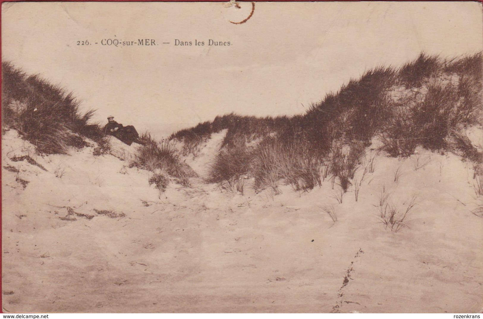 De Haan Aan Zee Coq Sur Mer Dans Les Dunes - De Haan