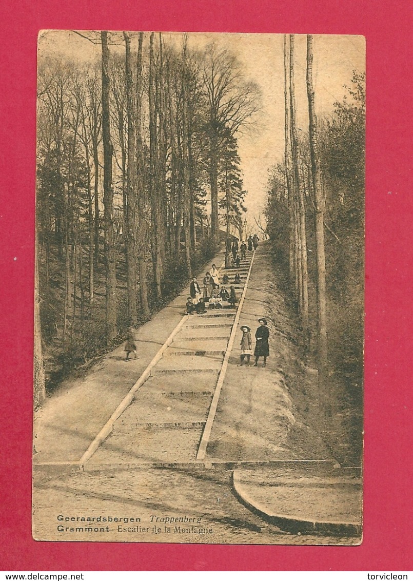 C.P.  Geraardsbergen = TRAPPENBERG - Geraardsbergen