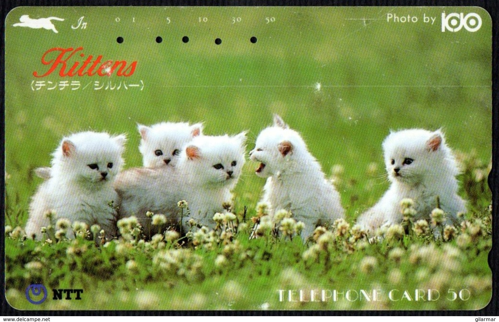 CATS - JAPAN - NTT -  TELEPHONE CARD - FIVE KITTENS IN A FIELD - USED - Gatti