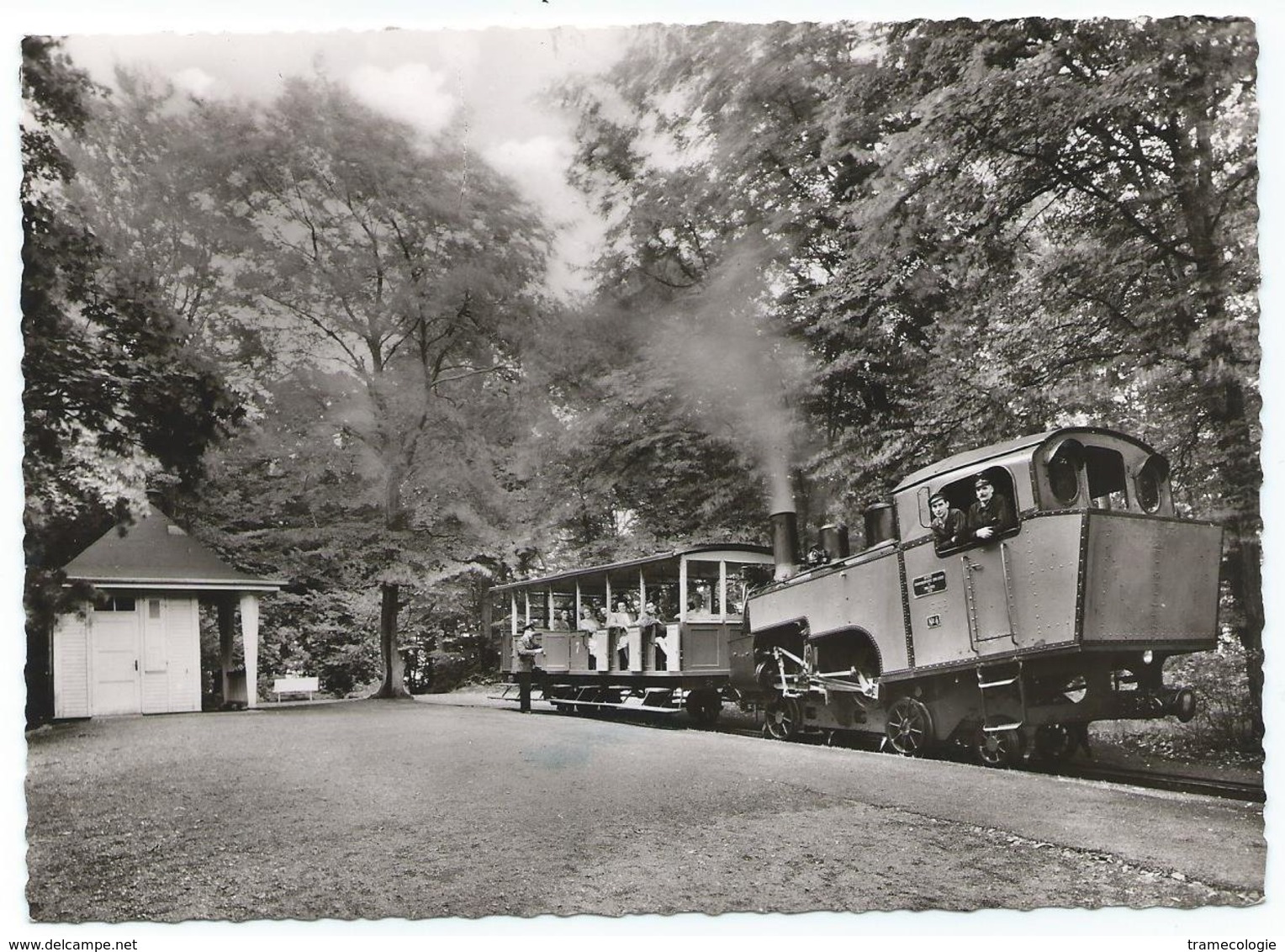 Königswinter Siebengebirge Crémaillière Zahnradbahn Bergbahn Tram Petersbergbahn Dampfbahn Eisenbahn Train 1950er - Koenigswinter