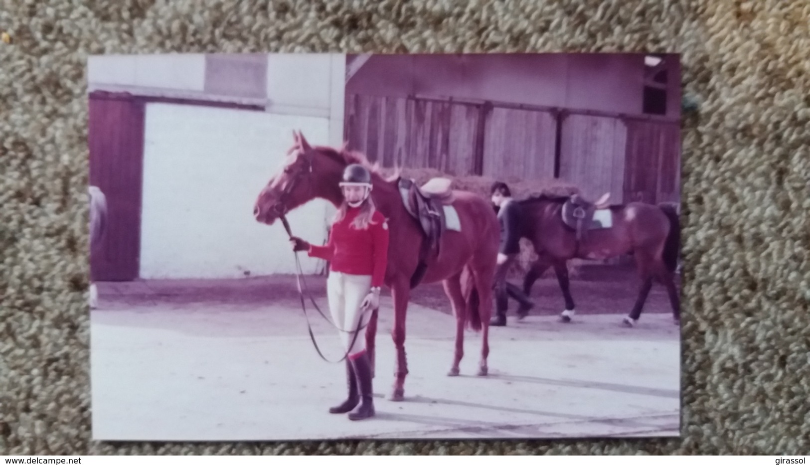 PHOTO CHEVAL CHEVAUX CAVALIERE  ECURIE  1983 FORMAT 9 PAR 13.5 CM - Other & Unclassified