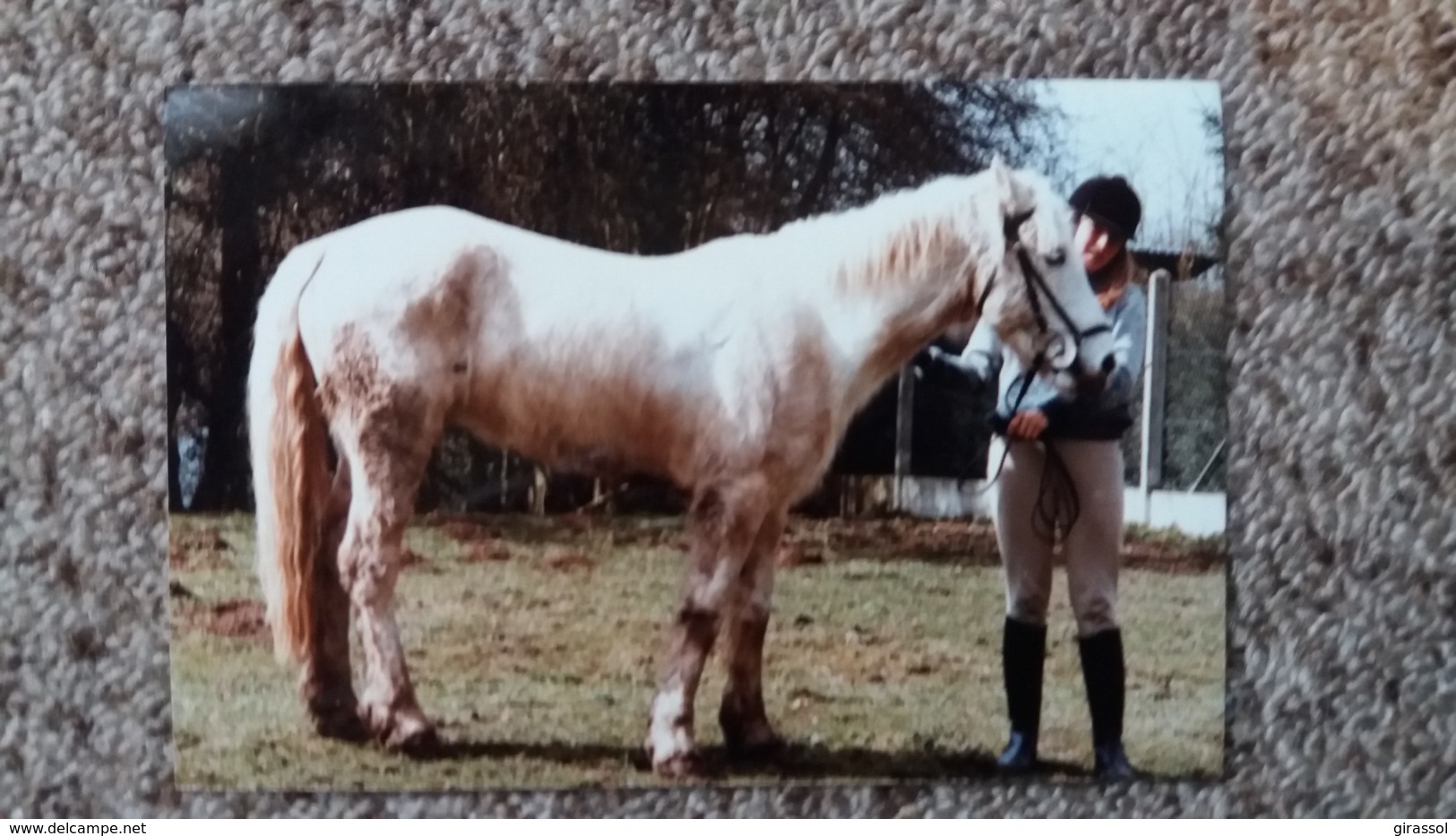 PHOTO CHEVAL BLANC JEUNE CAVALIERE JARDIN  1982  FORMAT 9 PAR 13.5 CM - Other & Unclassified