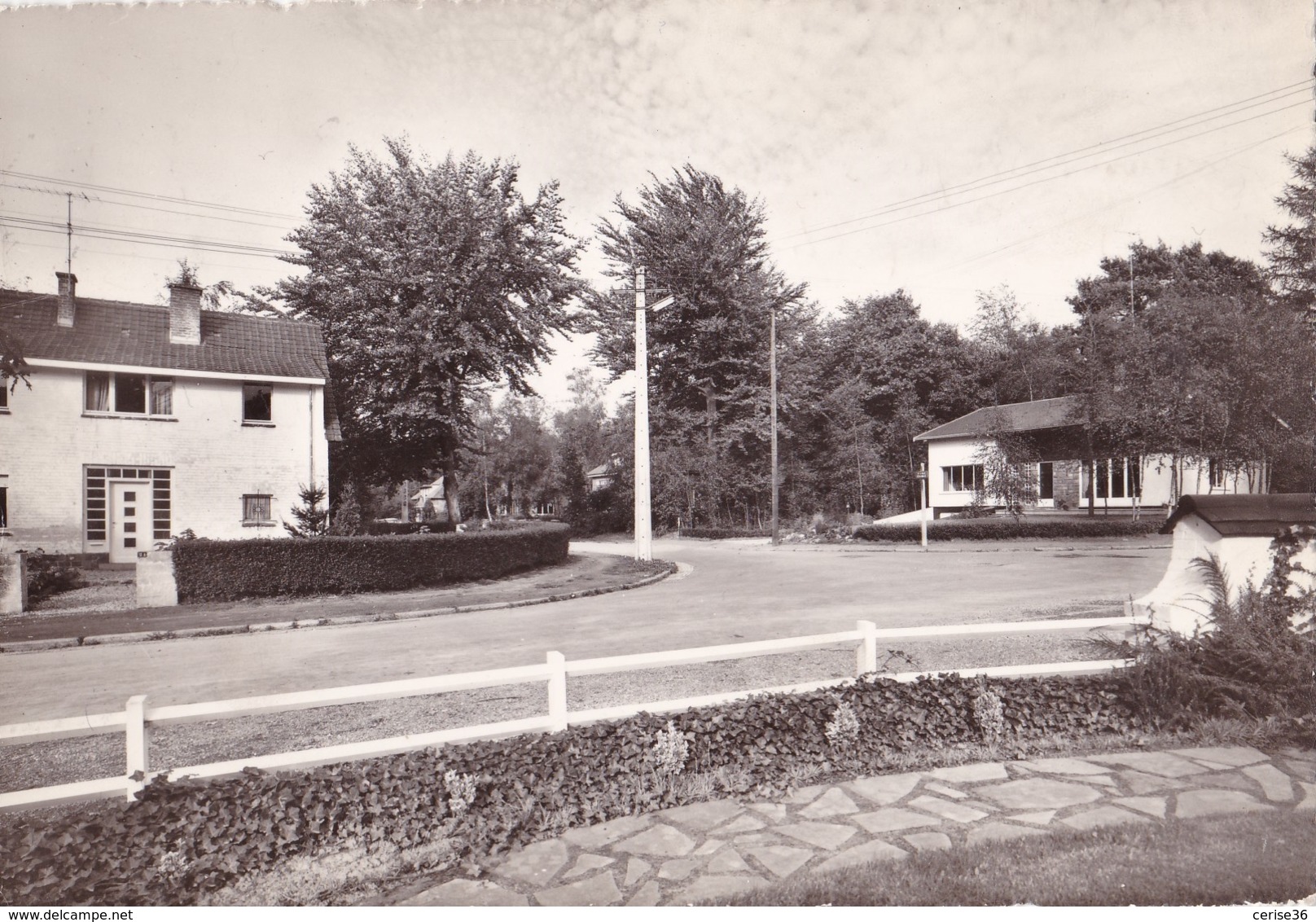 Marcinelle-Bruyère Avenue Centrale 6è Avenue Circulée En 1962 - Montigny-le-Tilleul