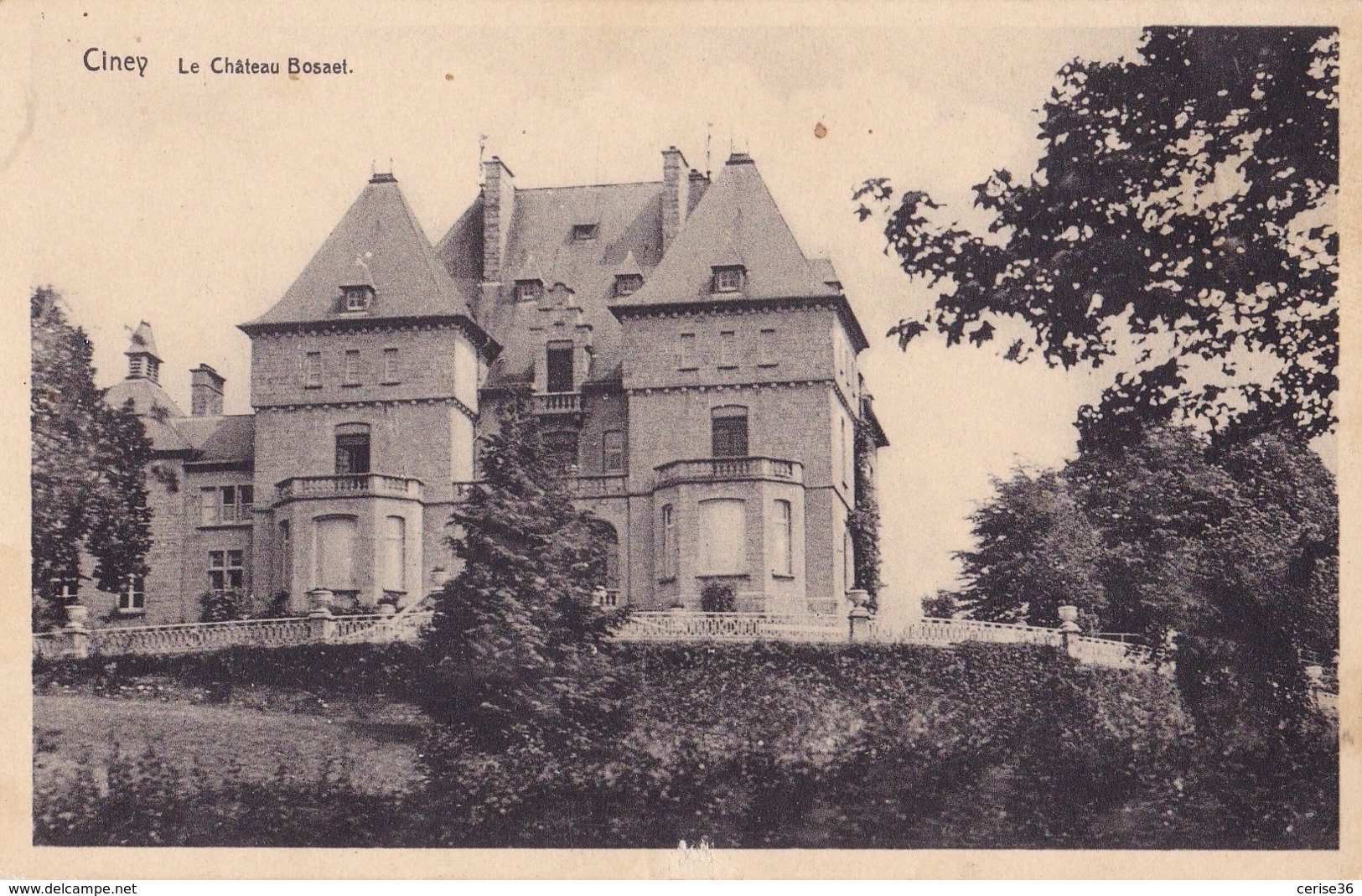 Ciney Le Château Bosaet - Ciney