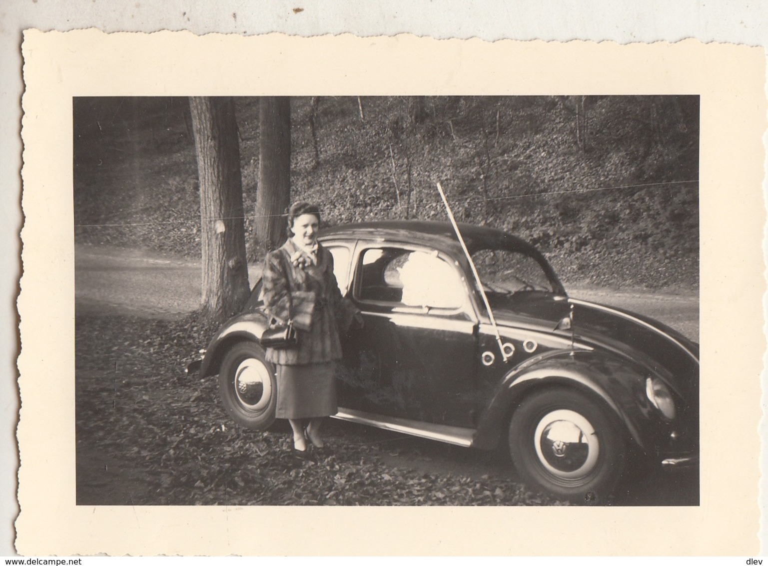 Coccinelle VW - Marche-les-Dames - Photo 7 X 9.5 Cm - Automobiles