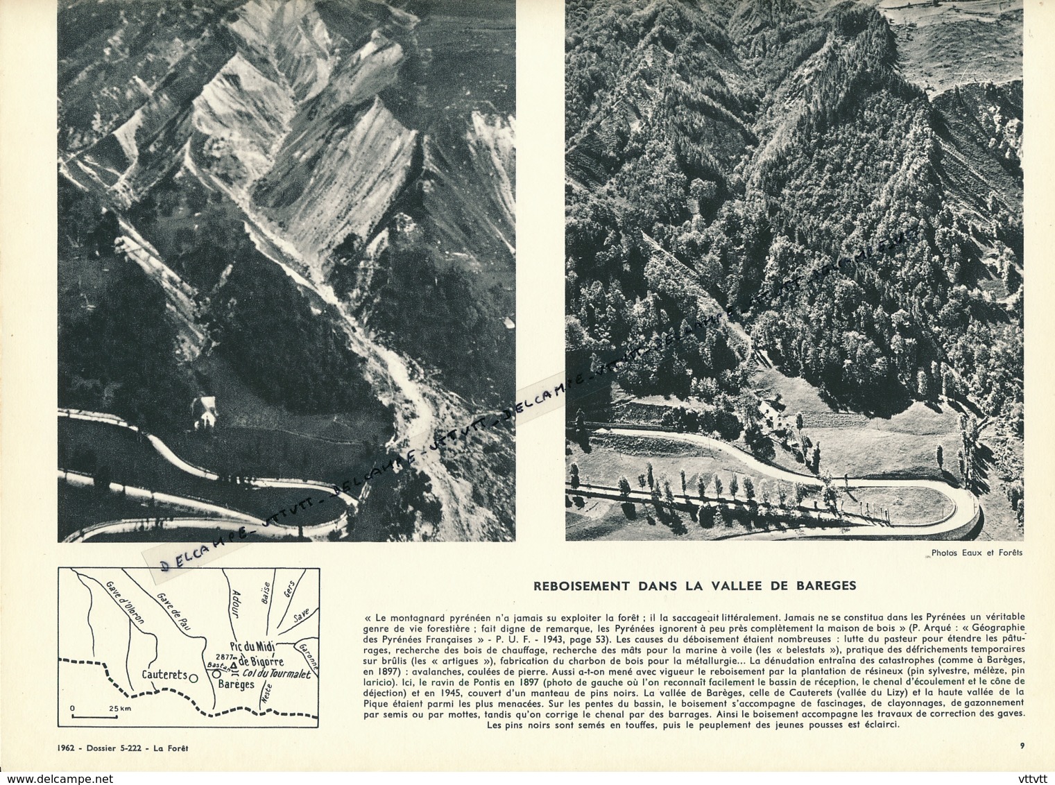 Photo (1962), La Forêt : BAREGES, Reboisement Dans La Vallée, Ravin De Pontis, Cauterets, Col Du Tourmalet, Pic Du Midi - Non Classés