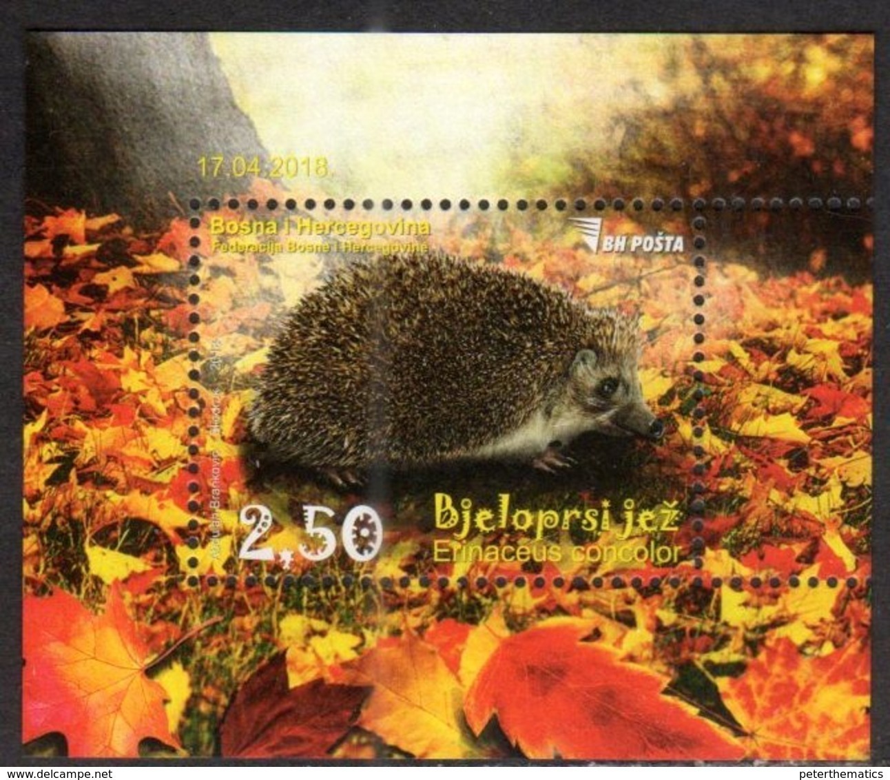 BOSNIA, MUSLIM, 2018, MNH, FAUNA, HEDGEHOGS, S/SHEET - Andere & Zonder Classificatie