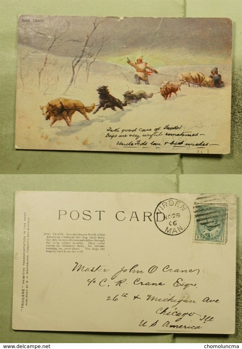 VIRDEN Manitoba To Chicago USA Old Post Car Travelled 1906 Chien De Traineau Dog Train Sled  Troilene Musher - Otros & Sin Clasificación