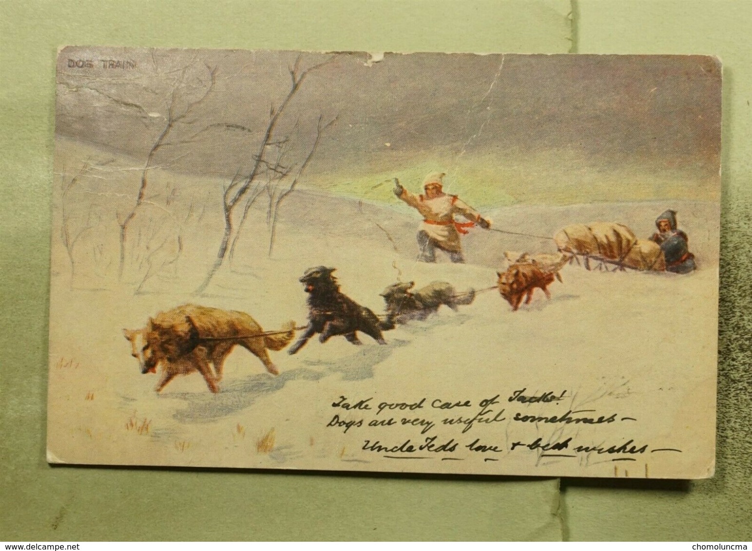 VIRDEN Manitoba To Chicago USA Old Post Car Travelled 1906 Chien De Traineau Dog Train Sled  Troilene Musher - Otros & Sin Clasificación