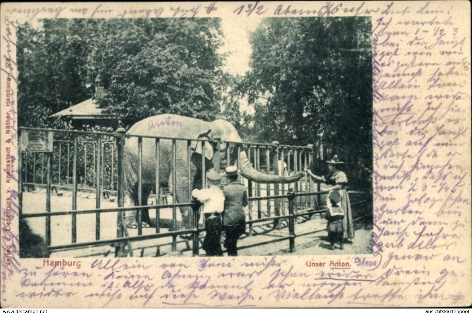 Cp Hamburg, Elefant Anton Im Zoo - Autres & Non Classés