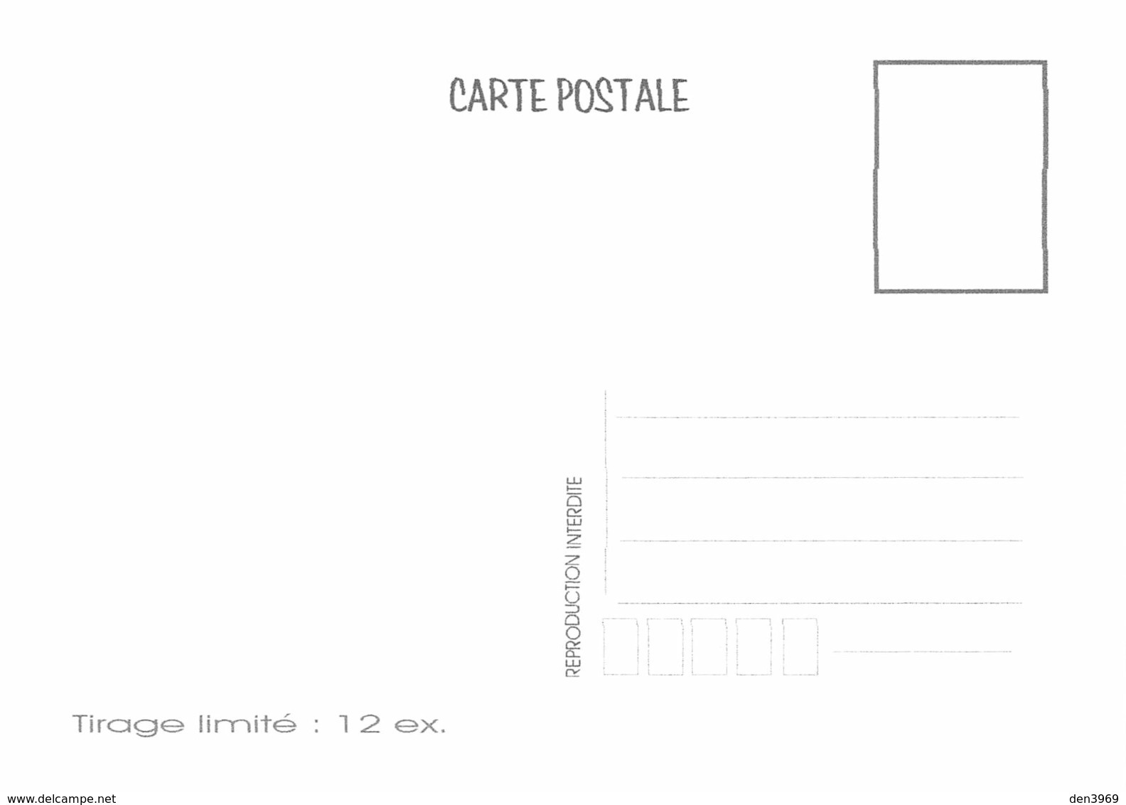 La TORTUE à écaille - Tirage Limité 12 Ex - Turtles