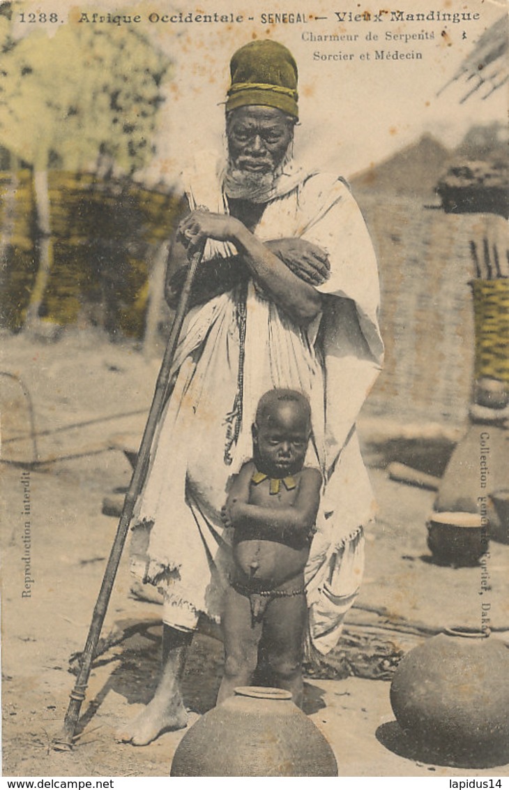 A P 591 -  C P A - AFRIQUE-    SENEGAL  - VIEUX MANDINGUE CHARMEUR DE SERPENTS  SORCIER ET MEDECIN - Sénégal