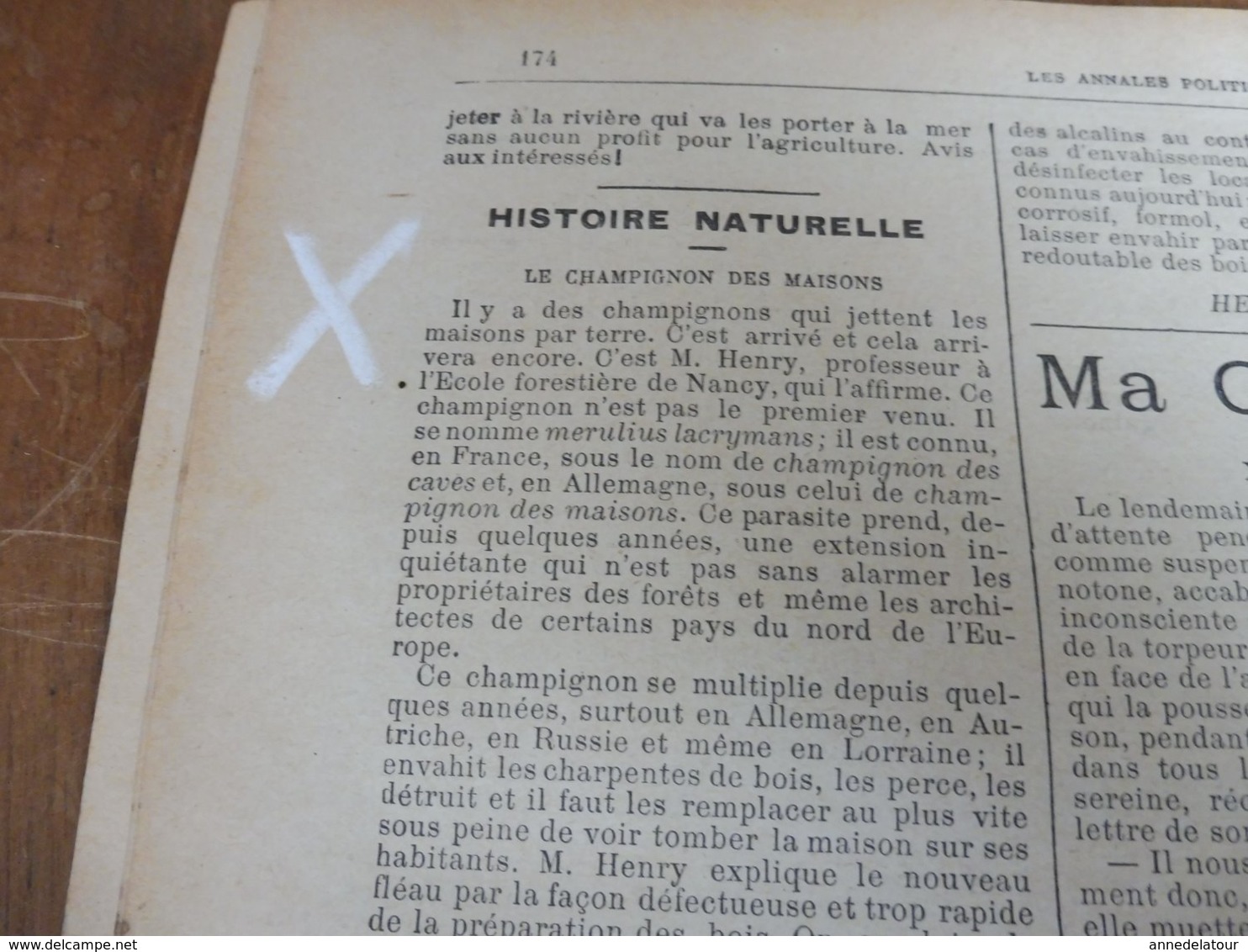 1901 LAPEL: France-Russie ;Nicolas II,l'Impératrice;St-Petersbourg;Chanson parole-musique cosaque; Vinasse-engrais;etc