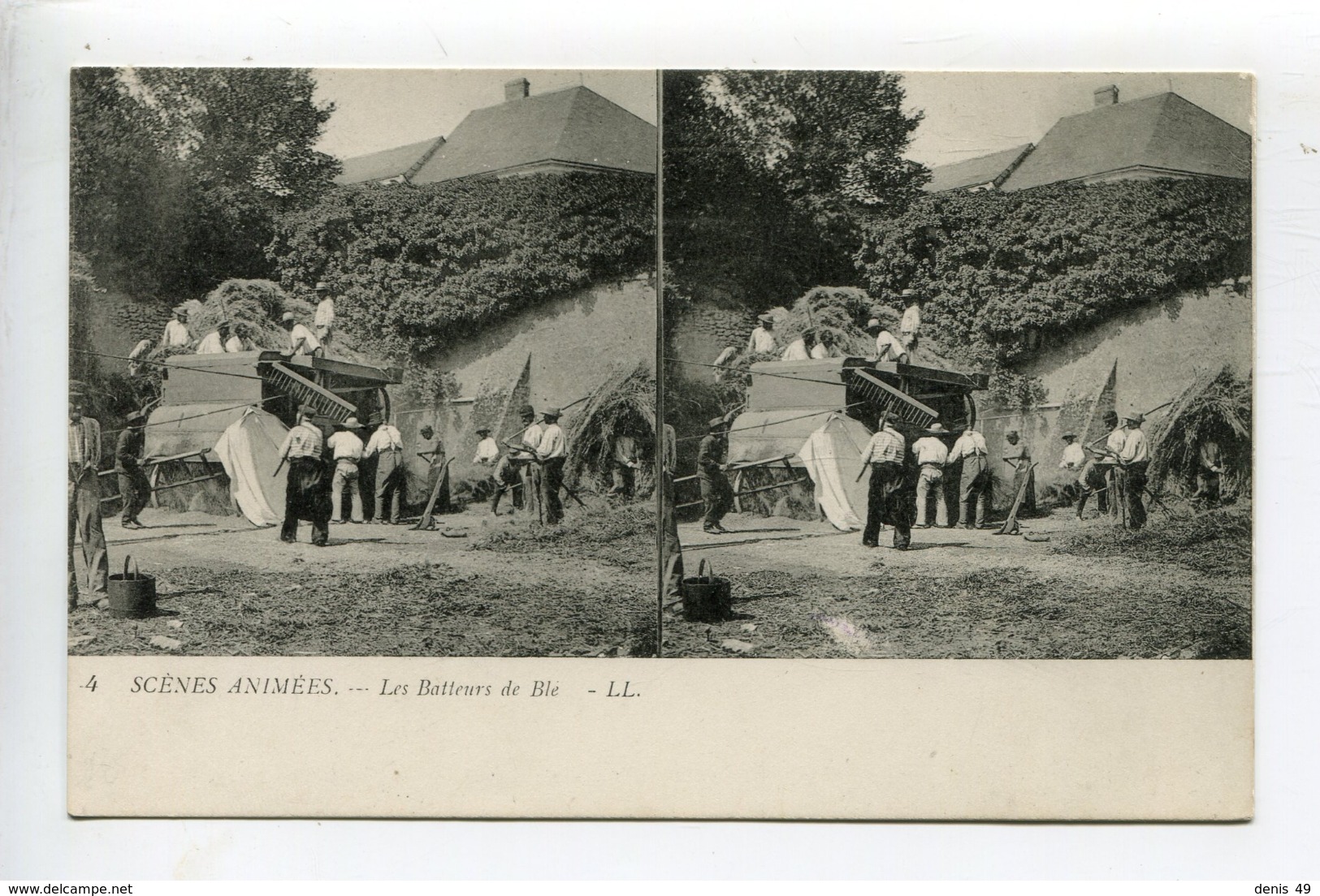 Stéréoscopique Agriculture Battage Du Blé - Cultures