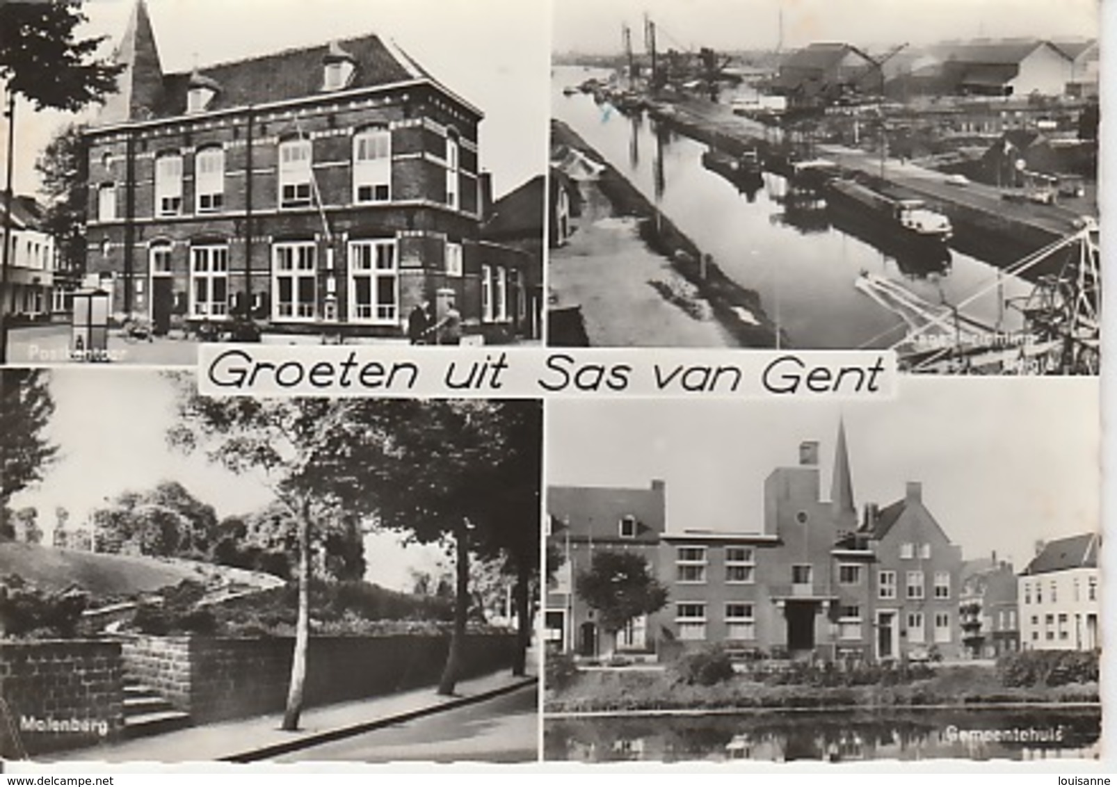 19 / 11 / 412  -   GROETEN      UIT    SAS  VAN  GENT  -  C P. M - Sas Van Gent