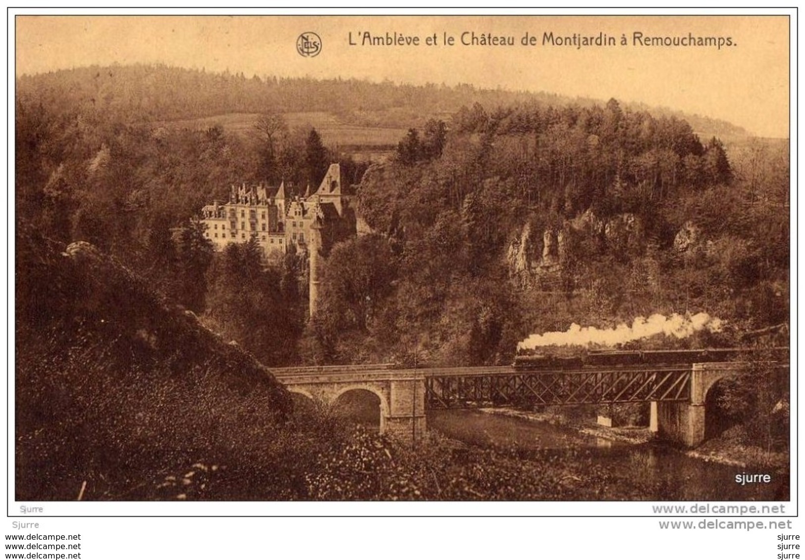 REMOUCHAMPS / Aywaille - Kasteel - L'Amblève Et Le Château De MONTJARDIN - Aywaille