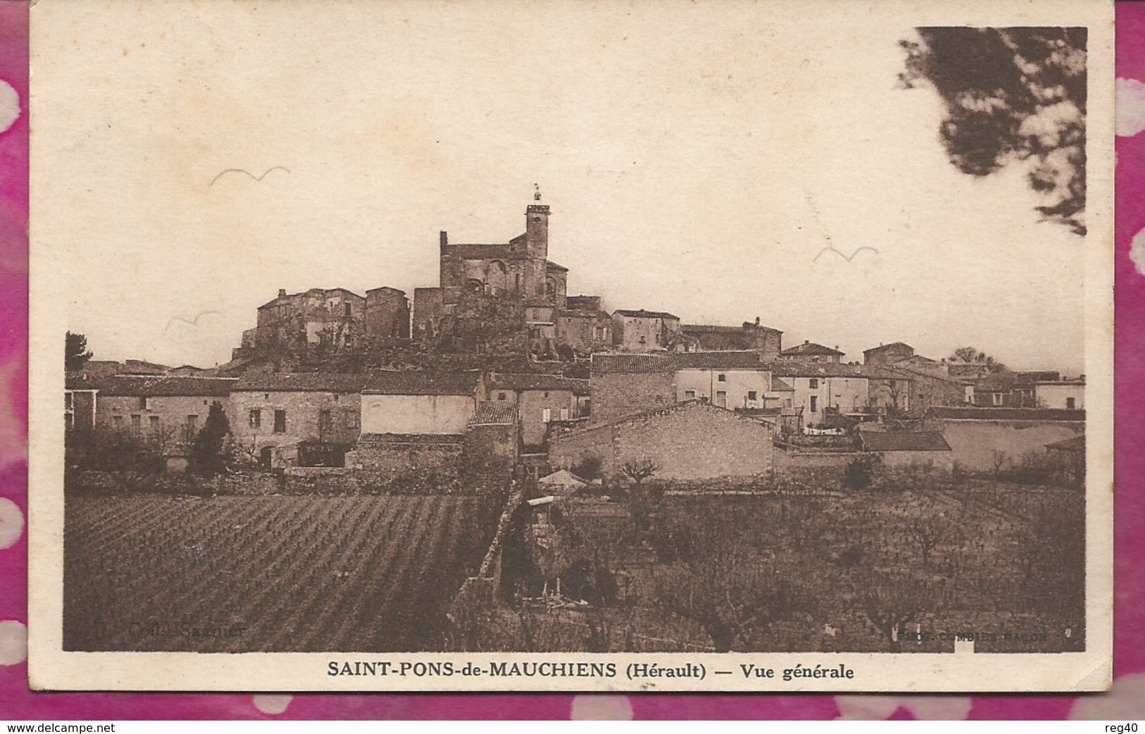 D34 - SAINT PONS DE MAUCHIENS  - Vue Générale - Saint-Pons-de-Mauchiens