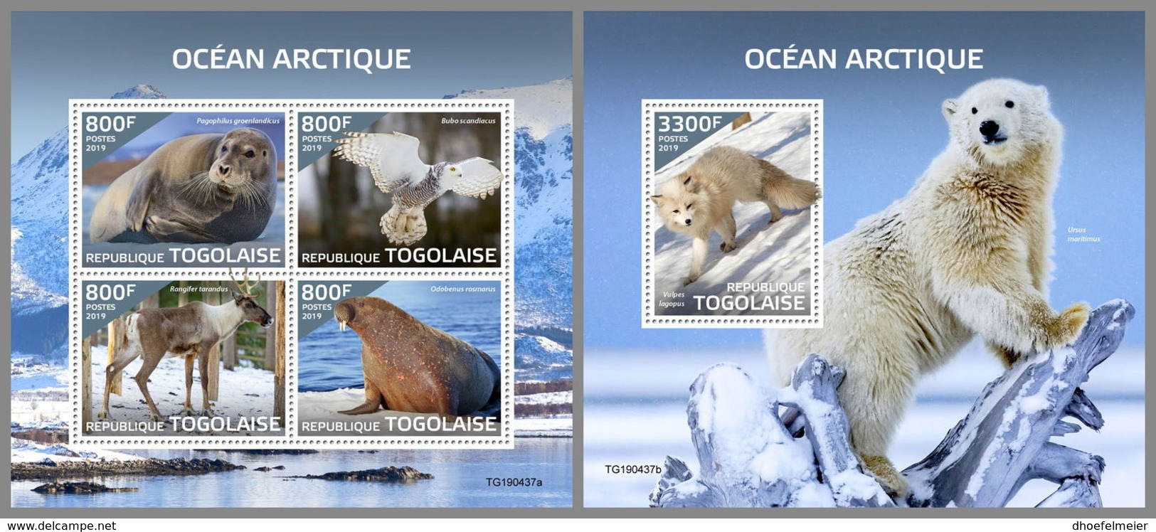 TOGO 2019 MNH Arctic Oceans Arktische Tierwelt Ocean Arctique M/S+S/S - IMPERFORATED - DH1946 - Arctic Tierwelt