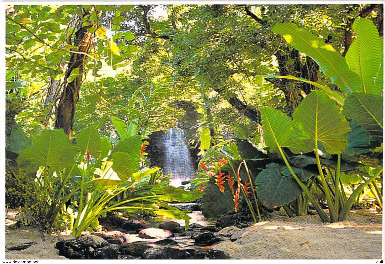 Polynésie Française- Une Belle Cascade De Tahiti Située à HITIA (Hitiaa)(waterfall )(photoTeva Sylvain 1098)@*PRIX  FIXE - Polynésie Française