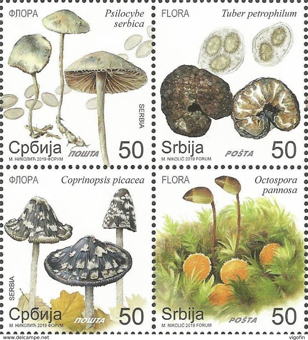 SRB 2019-04 MUSHROOMS, SERBIA, 1 X 4v, MNH - Serbie