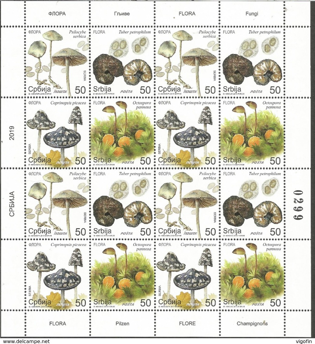 SRB 2019-04 MUSHROOMS, SERBIA, MS, MNH - Serbie