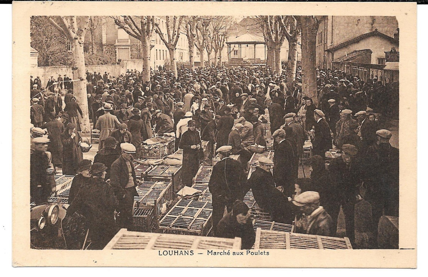 Cpa Louhans - Marché Aux Poulets . - Louhans