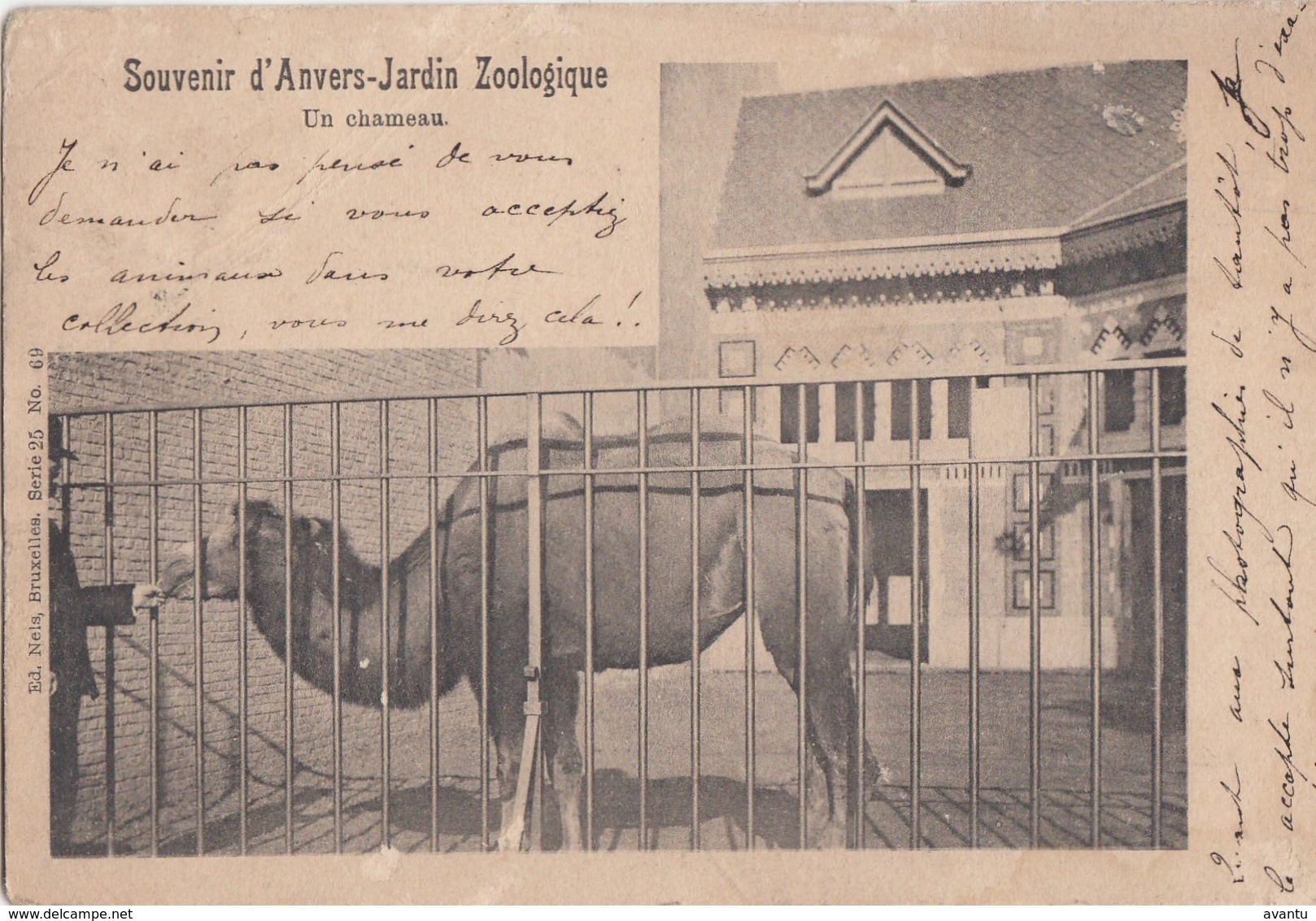 ANTWERPEN / DIERENTUIN / ZOO   1901 - Antwerpen