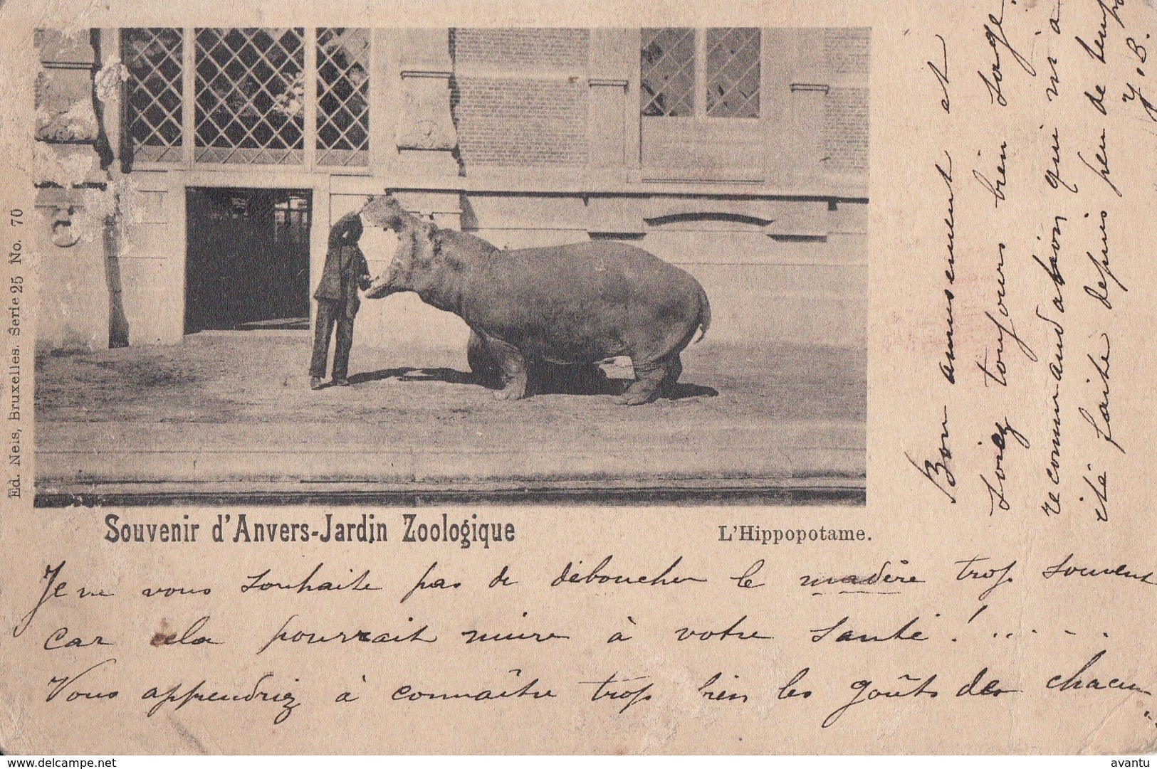 ANTWERPEN / DIERENTUIN / ZOO  1901 - Antwerpen