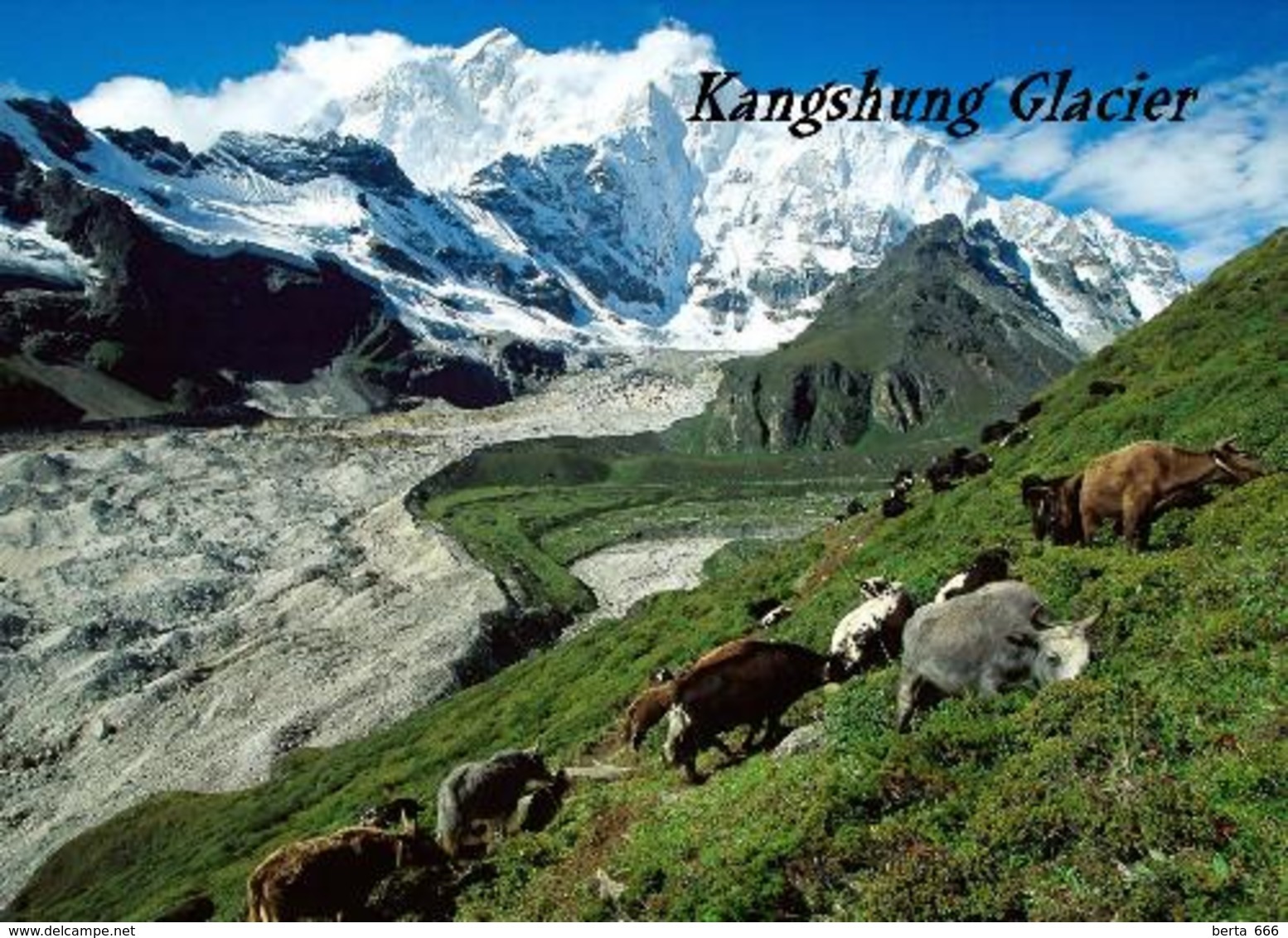 Tibet Kangshung Glacier New Postcard - Tibet