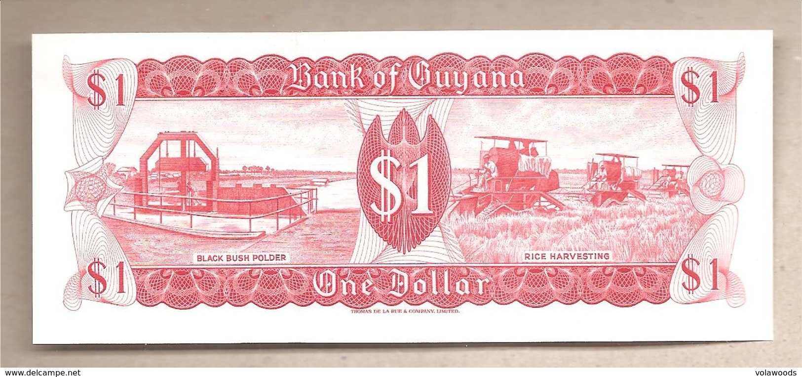 Guyana - Banconota Non Circolata Da 1 Dollaro P-21g.2 - 1992 - Guyana