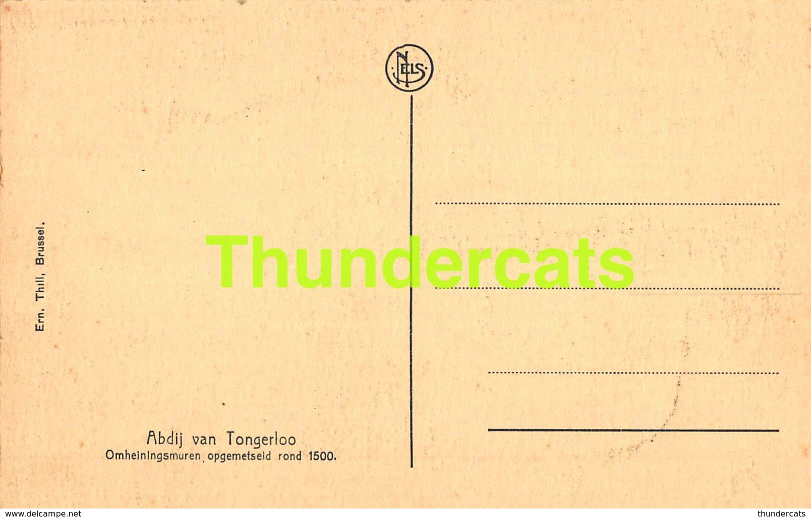 CPA ABDIJ VAN TONGERLOO -  OMHEININGSMUREN - Westerlo