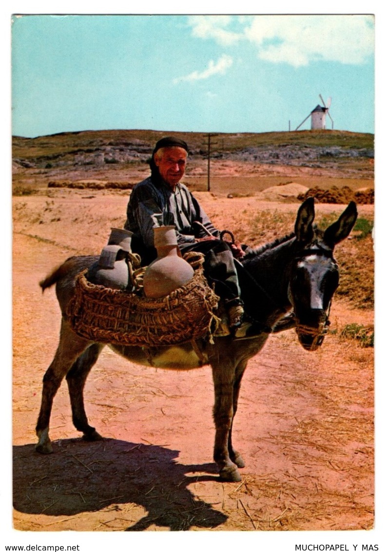 SPAIN POSTAL POST CARD BURRO BURROS BURRITO DONKEY DONKEYS BORRICO ÂNE MULI DONK MESÓN DE DON QUIJOTE LA MANCHA REGIÓN.. - Burros