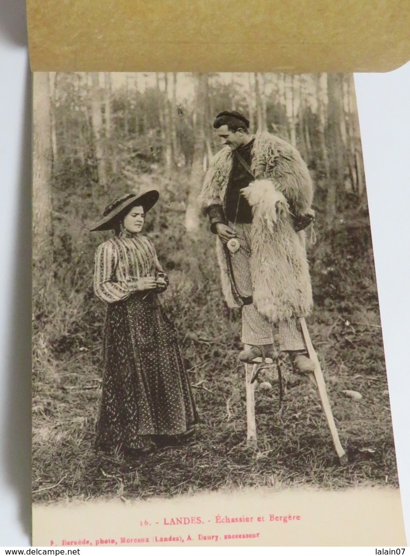 Carnet complet de 20 cartes postales anciennes des LANDES: chasse à la palombe, bergère sur échasses, noce scènes de vie