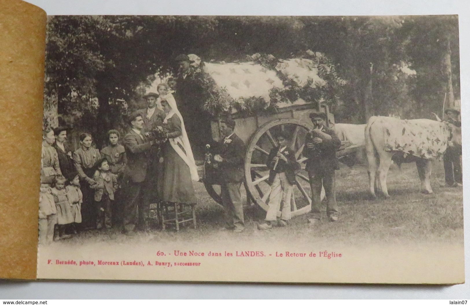 Carnet complet de 20 cartes postales anciennes des LANDES: chasse à la palombe, bergère sur échasses, noce scènes de vie