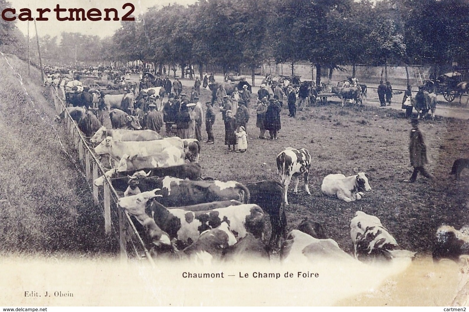 CHAUMONT LE CHAMP DE FOIRE MARCHE AUX BOEUFS VACHES 52 - Chaumont