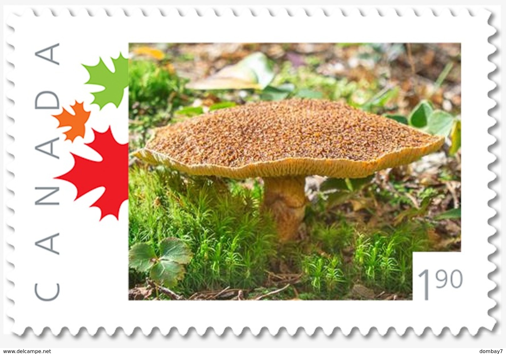 BROWN MUSHROOM = 1.90 Rate = Picture Postage Canada 2019 MNH VF [p19-11s02] - Pilze