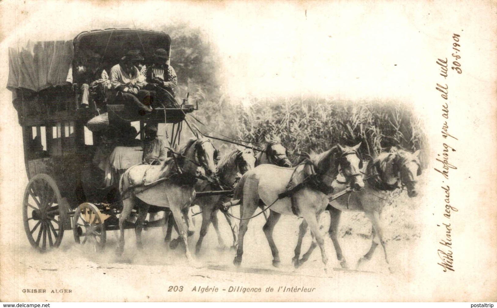 1901   ALGERIE DILIGENCE DE L'INTERIEUR - Otros & Sin Clasificación