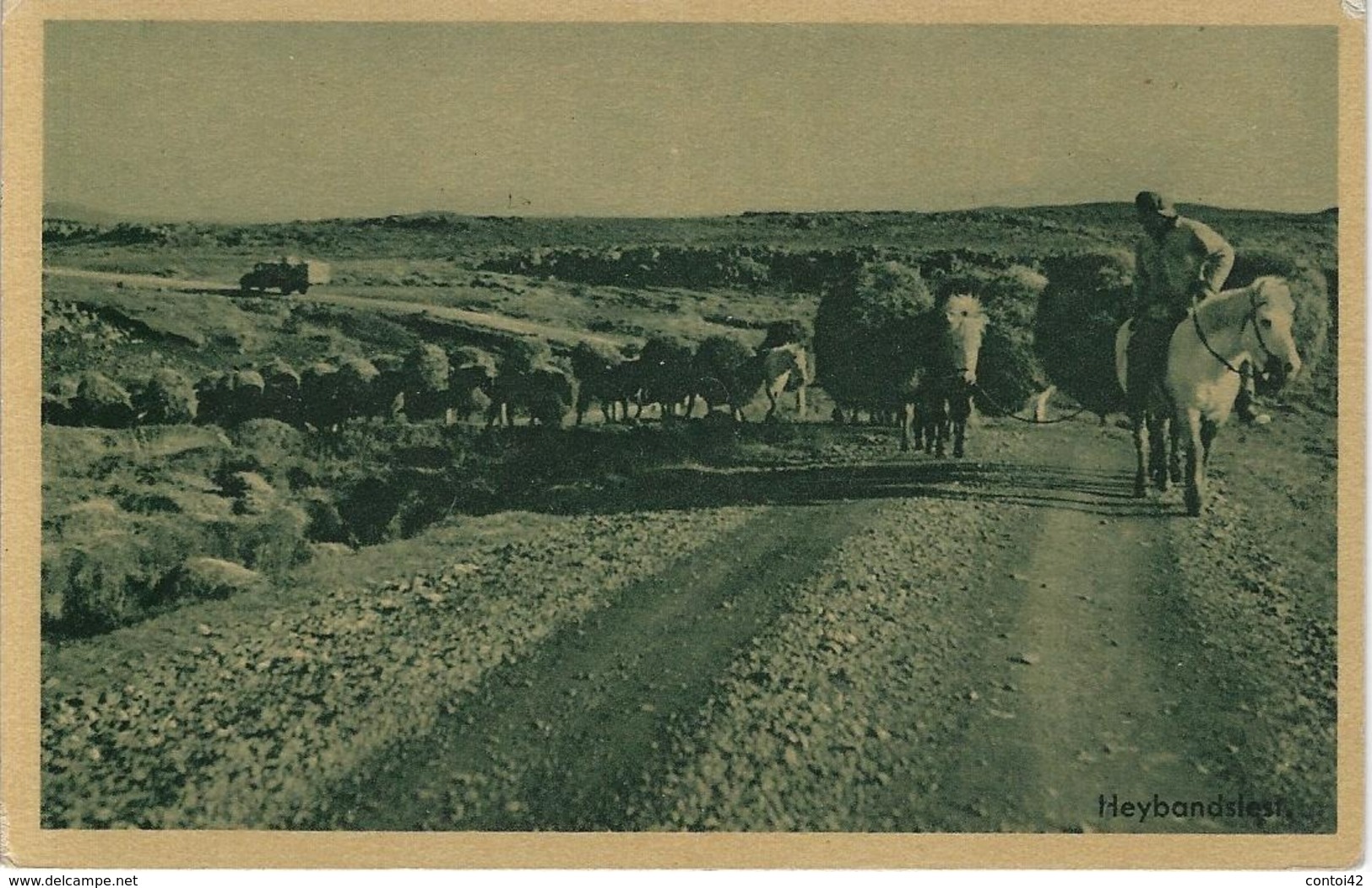 ISLANDE ISLAND CARTE POSTALE ANCIENNE METIER AGRICULTURE CHEVAUX BREFSPJALD - Islande