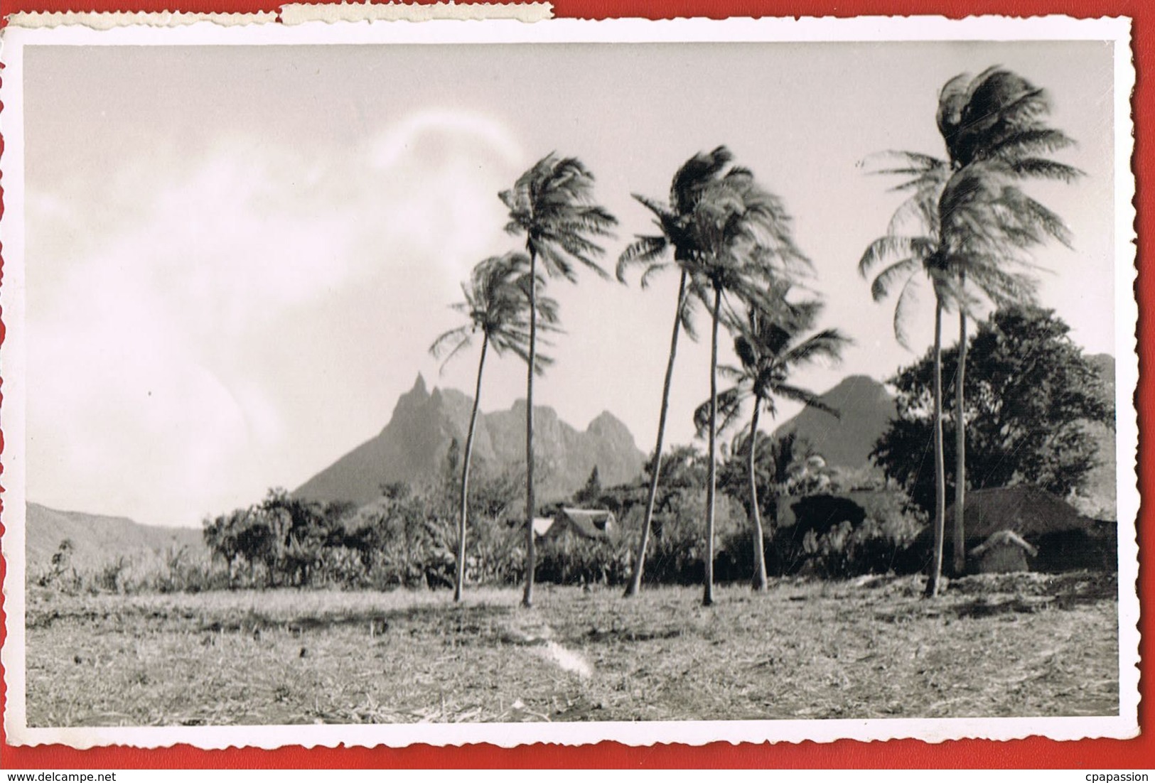 MAURITIUS- ILE MAURICE - Beautés De L'Ile Maurice-Un Aspect Du Pieter-Both-voyagé 1951 Avec 2 Timbres-scans Recto Verso - Autres & Non Classés