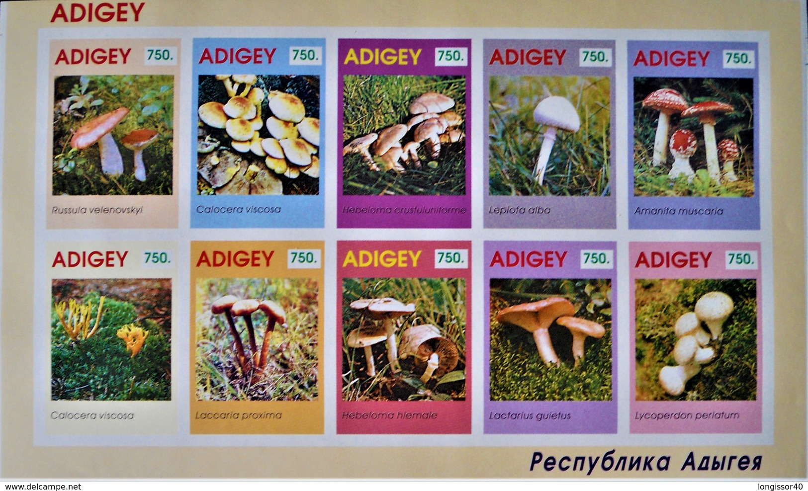 ADIGEY - CHAMPIGNONS 1993 - NEUF **  - PH 19112511 - ON-DENTELE - Viñetas De Fantasía