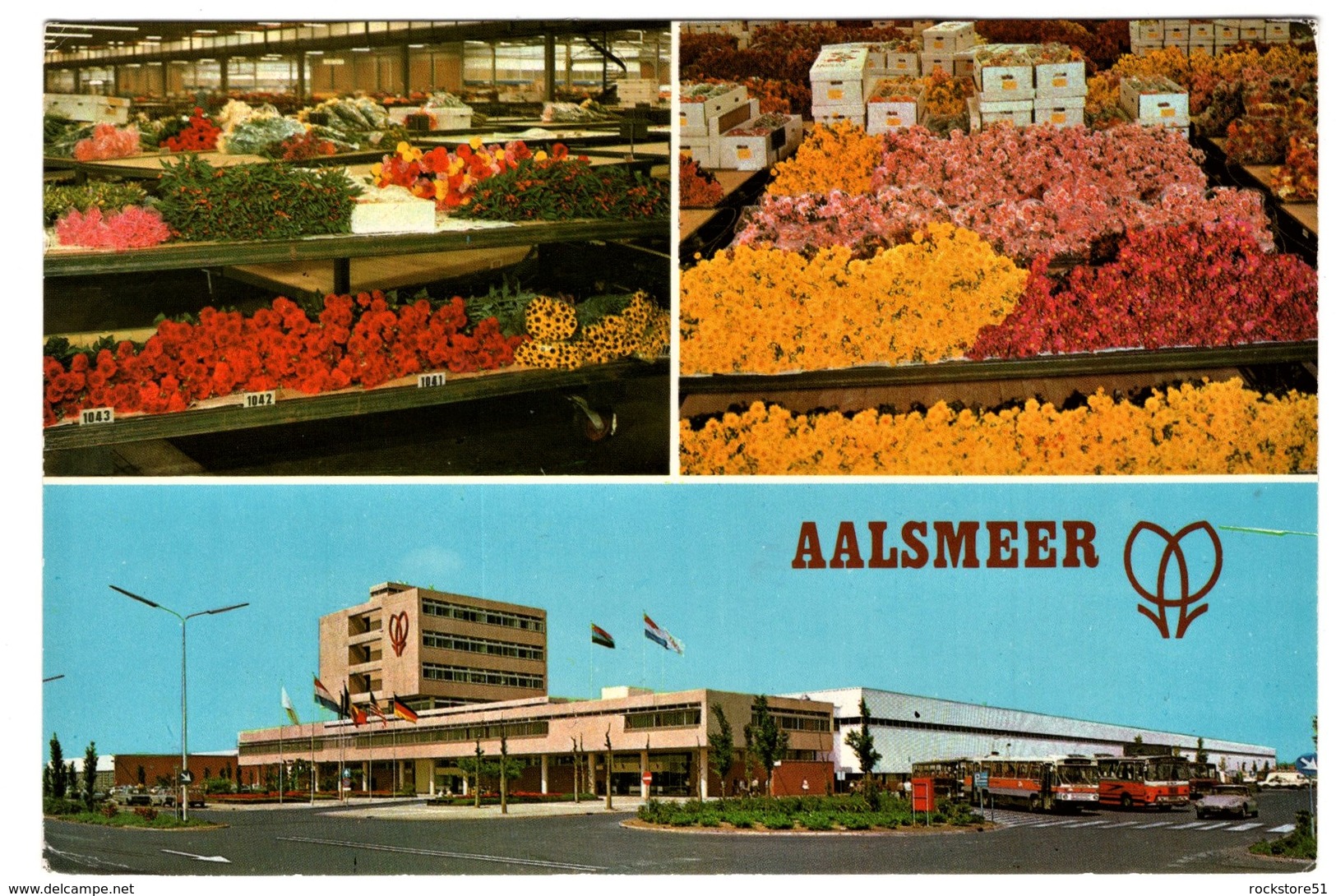 Aalsmeer - Aalsmeer