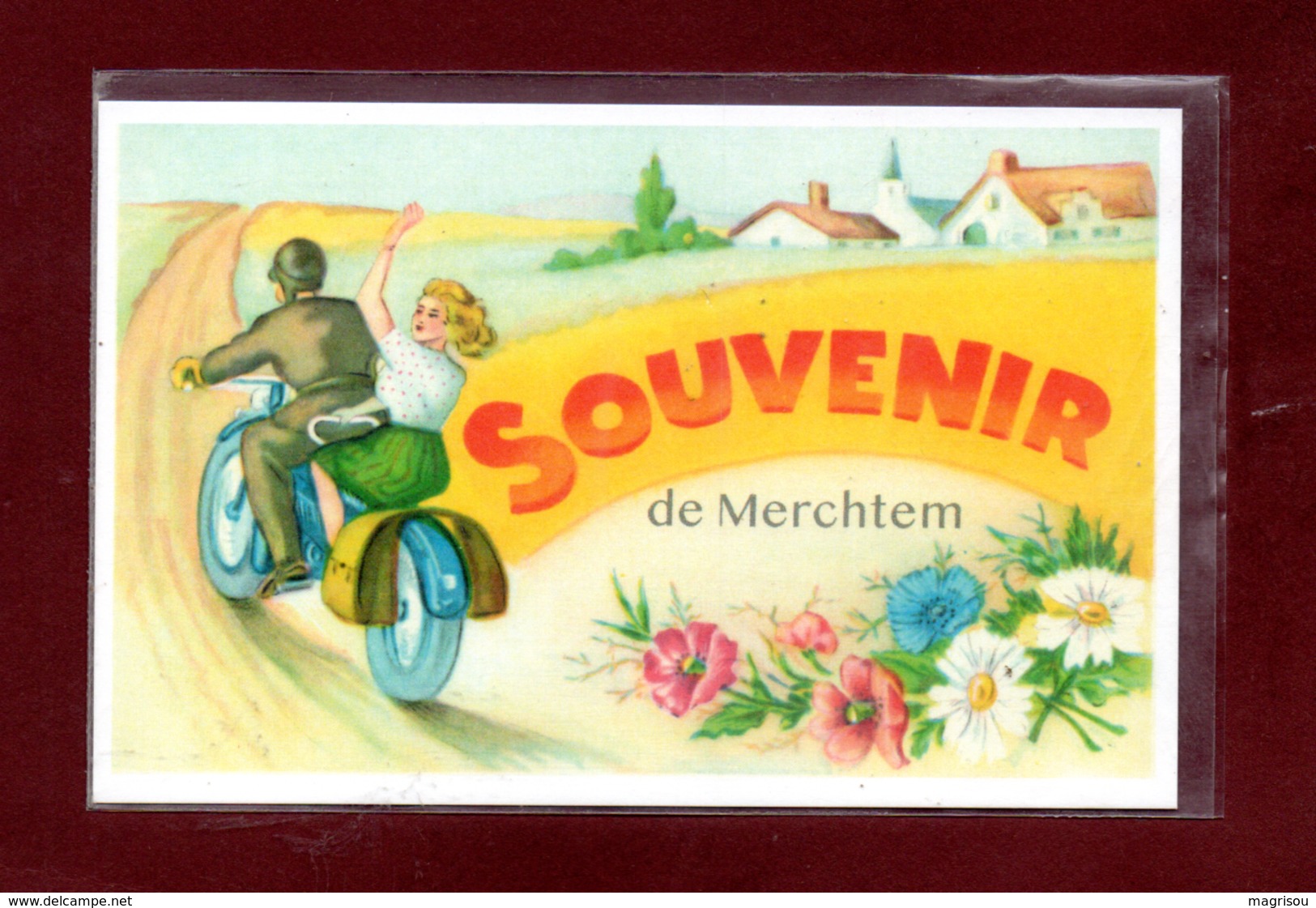 BELGIQUE-CARTE POSTALE MERCHTEM - Merchtem