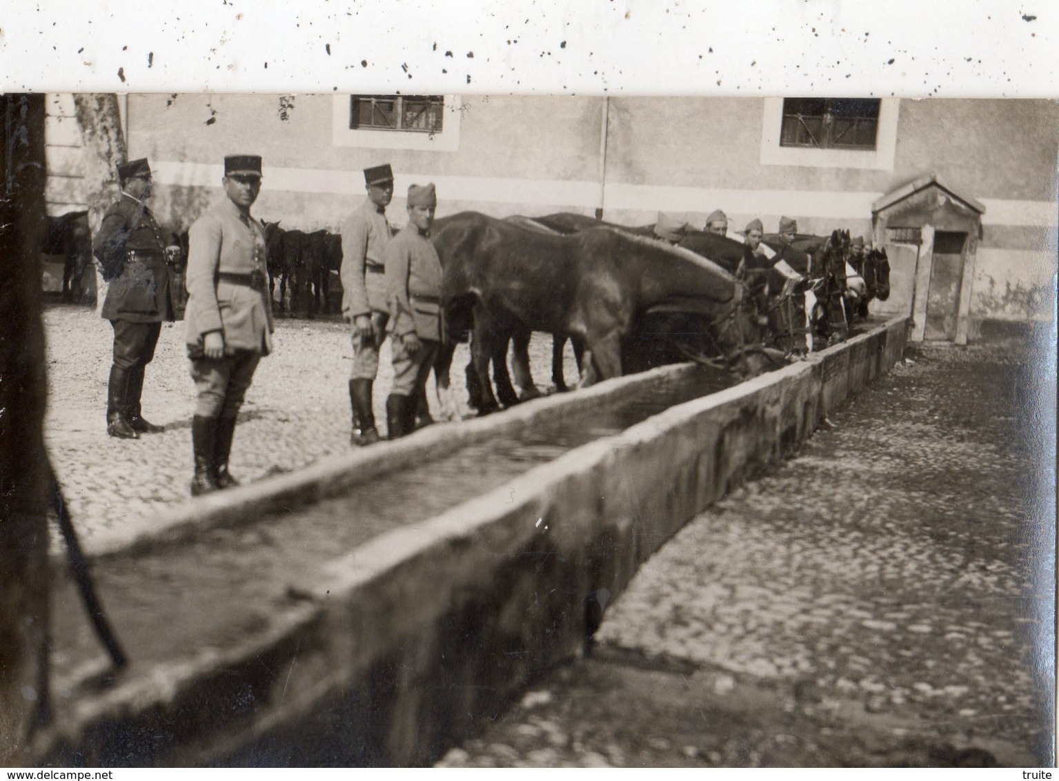 AVIGNON  LES CHEVAUX A L'ABREUVOIR   DU 7 EME REGIMENT DU GENIE (CARTE PHOTO ) - Avignon